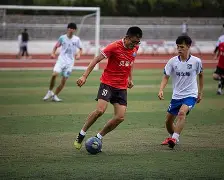 Pinnacle APP-比赛中出现激烈厮杀,两队互有来回打吗