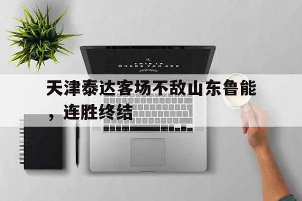天津泰达进球集锦